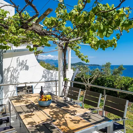 Cozy In With House Sea View *