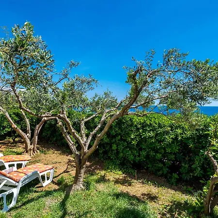 Appartement Cozy In With House Sea View